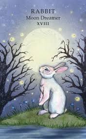 The Animal Wisdom Tarot The Moon Tarot The Moon Tarot Card Tarot Cards Art