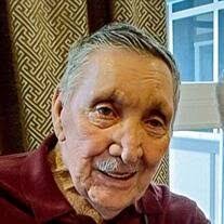 Thomas Herman Millner Obituary