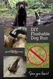 Doggy John How To Build A Flushable Dog Run Build A Diy Flushable Dog Run And Save Your Lawn 2020 Kopek Kedi