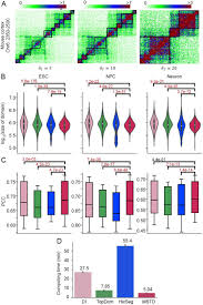 Mstd An Efficient Method For Detecting Multi Scale Topological Domains From Symmetric And Asymmetric 3d Genomic Maps Biorxiv