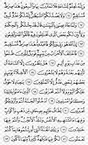 Berikut ini isi kandungan surat al hujurat ayat 10 yang kami sarikan dari sejumlah tafsir. Quran At Tawba Al Mumtahanah Surah Al Hujurat Png 960x1581px Quran Al Imran Alanfal Albaqara Alhujurat