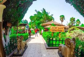 أجازات كلوب