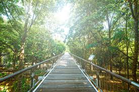 No need to register, buy now! Tun Abdul Razak Heritage Park Archives Malaysia World Heritage Travel Site