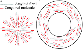 Here we describe improved sensitivity of identifying congophilic materials in. Imaging Linear Birefringence And Dichroism In Cerebral Amyloid Pathologies Pnas