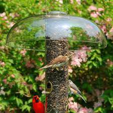 Aspects Super Tube Top As351 Bird Feeder Baffles Aspects Bird Feeders Shop Bird Feeder Accessories Best Bird Feeders Bird Feeders Backyard Birds