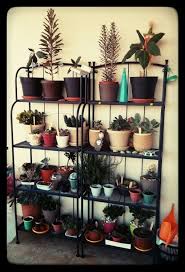 Balcony Garden With Ikea Lacko Shelves Small Balcony Garden Balcony Garden Ikea Outdoor