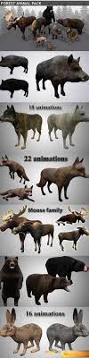 Desire Fx Cgtrader Forest Animals Pack Low Poly 3d Model Insolite