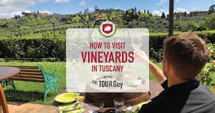 To this day, the family continues to produce more than three million bottles a year. 5 Tips For Planning A Wine Tasting On A Vineyard In Tuscany The Tour Guy