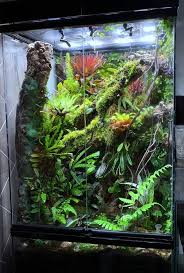 Fishtanks Frog Terrarium Dart Frog Vivarium Gecko Terrarium