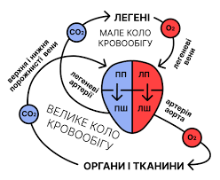 Велике коло