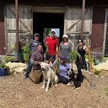 Volunteer Day