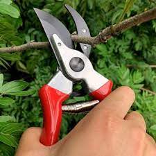 Wipe it down, wipe it down. The Family Handyman Do It Yourself Home Improvement Home Repair Pruning Shears Shears Pruners