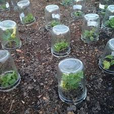 Best 10 Arquitetura Sustentavel Politica Dos 5 R S E Consumo Consciente Skillofking Com Pflanzen Gemuse Anbauen Garten