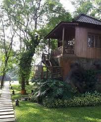 A vibrant place where all the joy and excitement is sparkling all over. 7 Penginapan Unik Dengan Konsep Rumah Pohon Di Indonesia Sudah Coba