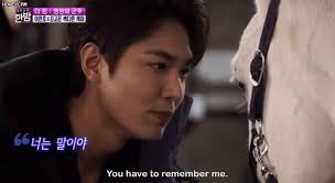 Lee Min Ho công khai nhìn Maximus như người yêu, chẳng lẽ Kim Go Eun có  "tiểu tam" là một con ngựa ở Quân Vương Bất Diệt?