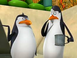 Are you the dashing skipper? Rico Relationships Penguins Of Madagascar Wikia Fandom