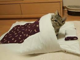 noluyo kardeşim ne bu tantana