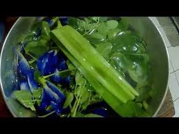Blue Ternate Tea With Malunggay And Pandan Leaves Youtube Ternate Pandan Herbalism