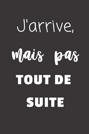 J`ai reserve une chambre au nom de katrine. Amazon Com J Arrive Mais Pas Tout De Suite Carnet De Notes 124 Pages Lignees Format 15 24 X 22 89 Cm Message Sarcastique French Edition 9781712358719 De Paris Fanny Books