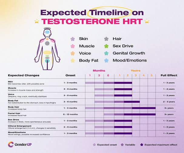 Infographic titled "Expected Timeline on Testosterone HRT" by GenderGP, outlining expected onset and full effect timeframes for physical, body, voice, hair, and emotional changes.