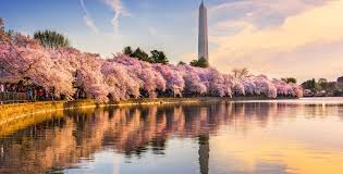 Inauguration Day Around The World In 2021 Office Holidays 19, the presidential inauguration committee plans to hold a lighting ceremony around the lincoln memorial reflecting pool to pay homage to the more than 350,000 americans who died from the coronavirus. inauguration day around the world in