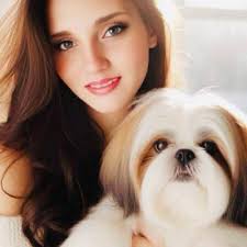 Park McDowell-Cox Heights, Scottsdale