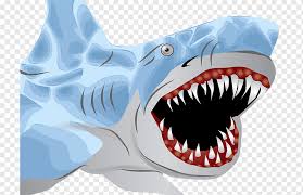 Cartoon funny drawing shark vectors (851). Great White Shark Hammerhead Shark Vicious Shark Animals Shark Cartoon Cartoon Shark Png Pngwing