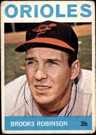 İlk defa bir Baltimore Oriole'u gördüm! : r/birding