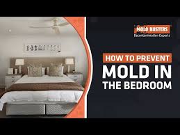 Most people don't know exactly what black mold is, how it occurs or how to get rid of it if they do find it. Mum6vuacesotwm