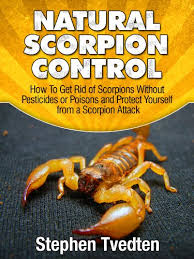What is the best and most effective way to kill bugs that are in my house? Natural Scorpion Control How To Get Rid Of Scorpions Without Pesticides Or Poisons And Protect Yourself From A Scorpion Attack Natural Pest Control Book 8 1 Tvedten Stephen Amazon Com