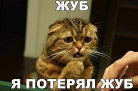 зуб / смешные картинки и другие приколы: комиксы, гиф анимация, видео,  лучший интеллектуальный юмор.