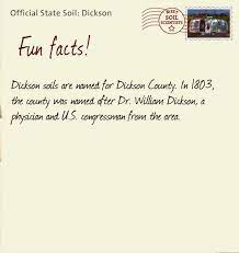 What Are Fun Facts About Tennessee