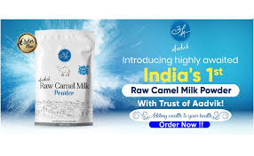 Aadvik foods and products pvt. Aadvik Raw Camel Milk Powder Freeze Dried Pure Natural 200g Ebay