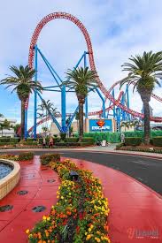 Movie World Gold Coast With Kids Best Day Ever Australia Vacation Australia Tourism Gold Coast Australia