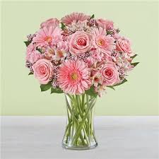 You can see how to get to 24 hour flowers on our website. Baby Shower Romance Graduation Flowers 1 800 Flowers French Bouquet Local Flower And Gift Delivery Gifts Flowers Las Vegas Nv Same Day Same Day Flower Delivery Delivery