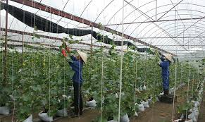 Bảo hiểm thất nghiệp đã và đang có ý nghĩa quan trọng đối với người lao động, giúp chia sẻ gánh nặng tài chính trong lúc chưa tìm được việc làm. Phat Triá»ƒn Nong Nghiá»‡p á»©ng Dá»¥ng Cong Nghá»‡ Cao