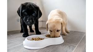 However, if you're having an urgent issue with pet food, we encourage you to contact us so we can help. L A Animal Services Expands Pet Food Pantry Program To Every Sunday Kfi Am 640