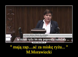 Nawiązuje do słów mateusza morawieckiego z 2013 roku, jakie nagrano w warszawskiej restauracji sowa i przyjaciele: Maja Zap Ac Za Miske Ryzu M Morawiecki Demotywatory Pl
