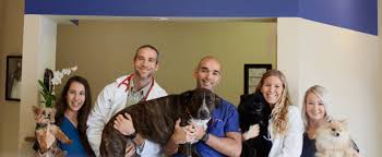 Sears animal hospital & pet rehabilitation. Best Veterinarian Boca Raton Home Healthy Pets Veterinary