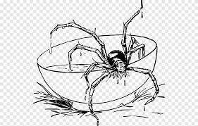 The primary foods of red back spiders include small vertebrates, spiders and insects. Scary Spiders Coloring Book Tarantula Spider Man Spider Child Insects Png Pngegg