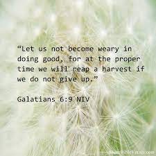 And Let Us Not Be Weary In Well Doing For In Due Season We Shall Reap If We Faint Not Galatians 6 9 Galatians 6 9 Weary Quotes Daily Bible Verse