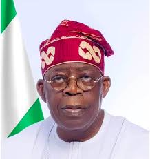 Tinubu's reforms will outweigh hardship -Group