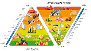 Learn how to make great hispanic food, watch new food videos, share recipes and check out our reviews for the best cookware in your kitchen. Food Pyramid Archives Hispanic Food Communications Inc