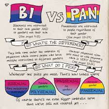 Oct 23, 2019 · do not put the pan in the oven while it is preheating. Tab Kimpton Pa Twitter Today Is Bisexual Visibility Day If You Re Not Sure Where You Stand With Bi Pan Polysexual Well This Page From The Minoritymonster Book Might Help You Out There S A Bunch