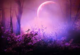 Are you looking for purple forest design images templates psd or png vectors files? Secret Of Purple Forest Forests Nature Background Wallpapers On Desktop Nexus Image 1370619