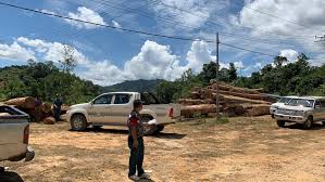 O membalak di kawasan perlindungan seperti di kawasan. Tiada Pembalakan Haram Di Kawasan Cadangan Bina Empangan Papar Borneo Today