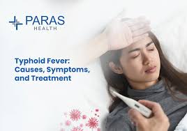 Image result for Typhoid Fever