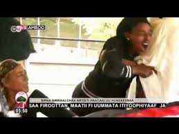 Download Walalo Du A Hacalu Hundesa Bahe 3gp Mp4 Codedwap