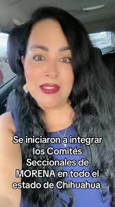 Comités Seccionales de MORENA en Chihuahua