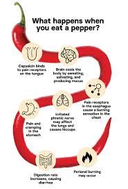 Here S What Happens To Your Body When You Eat Super Hot Peppers
